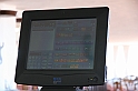 Kanary_2010 201